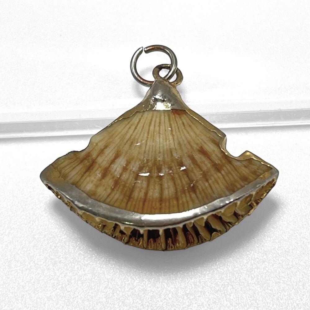 VTG Open Sea Shell Pendant Charm Gold Tone Trim Fan Shape Beach Cruise Artisan